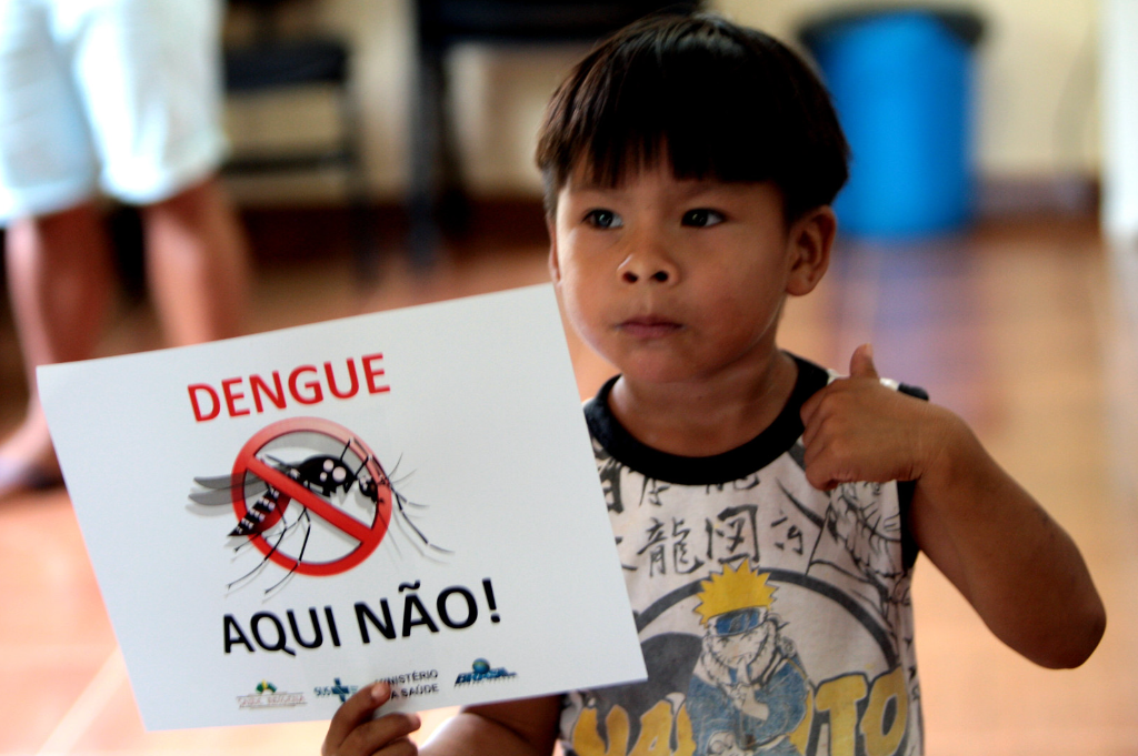 Dengue y other arboviruses, Here NO !